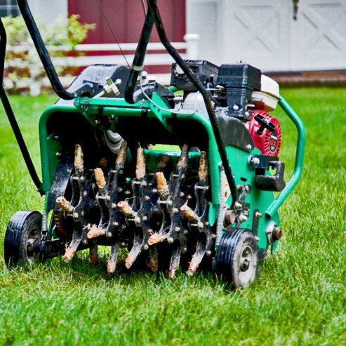 lawn aeration service